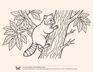 Coloring Page of a Raccoon Climbing a Tree