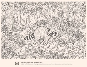 Raccoon Forest Coloring Page