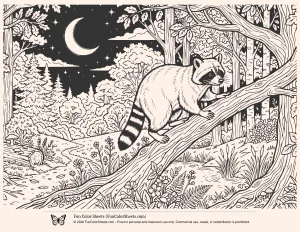 Raccoon Night Scene Coloring Sheet